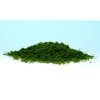 Woodland Scenics WT1362 DARŃ - Burnt Grass Coarse Turf 1L